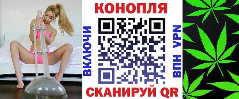 Бошки Шишки план  Пролетарск 